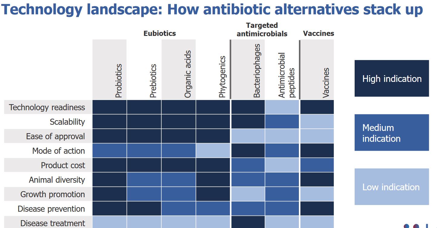 7 Alternatives To Antibiotic Use Identified By Researchers Dairy Herd